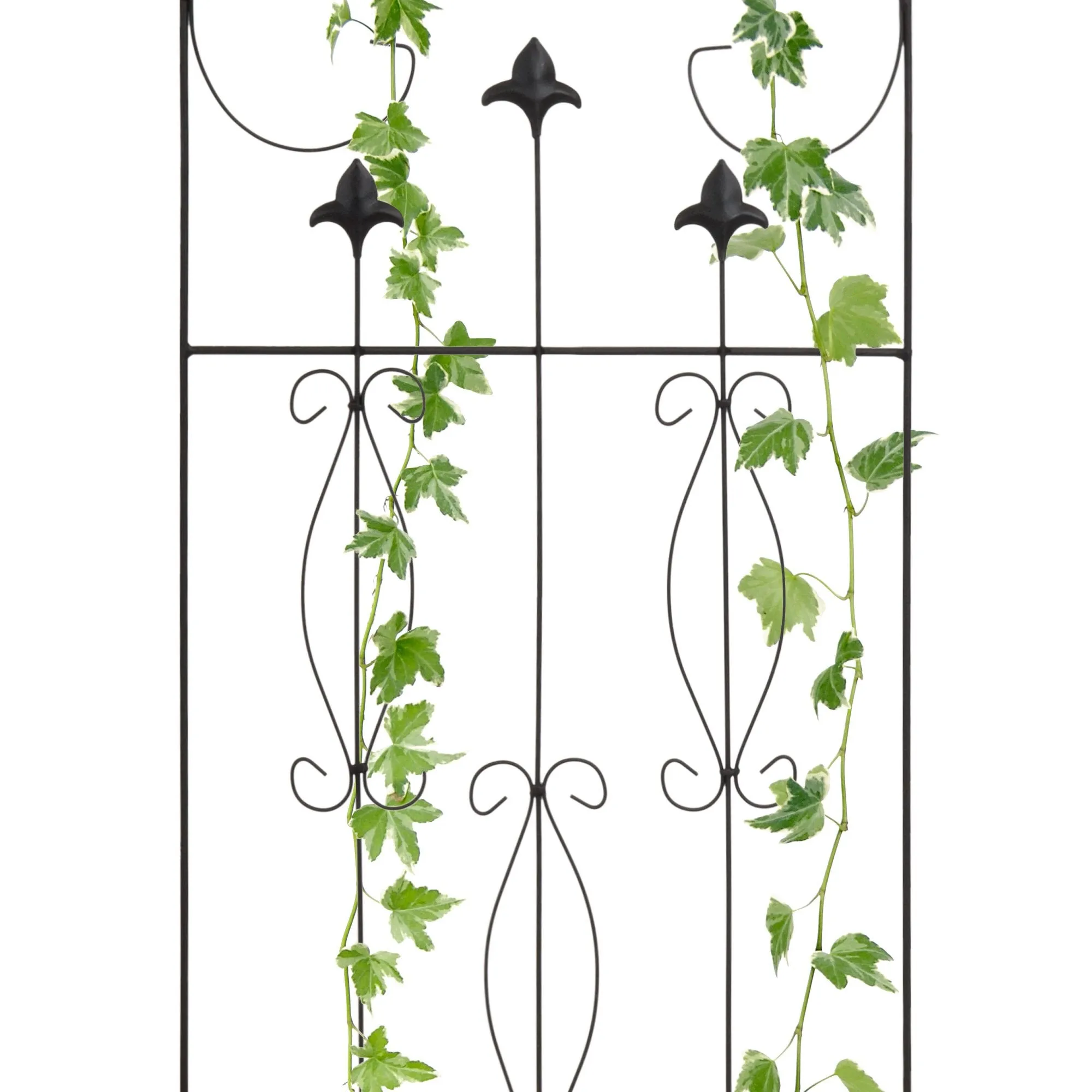 60x18in Iron Arched Garden Trellis Decor Accent w/ Scroll Lattice - Black