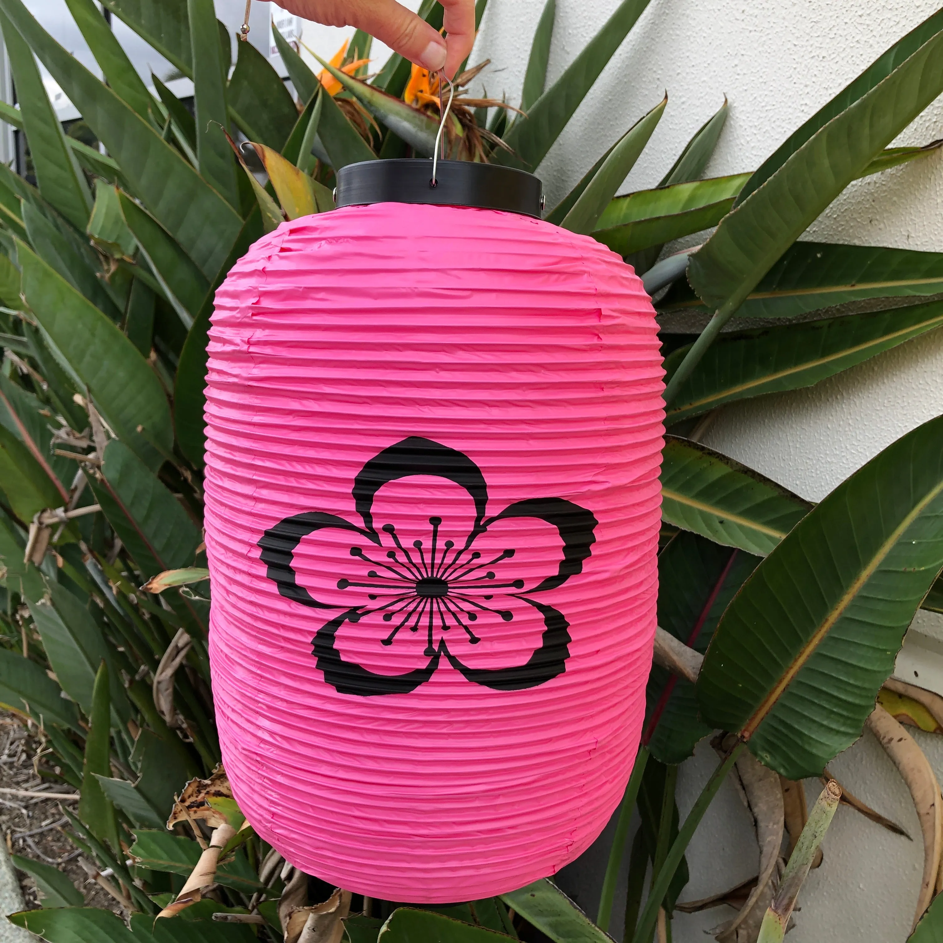 CLEARANCE SALE - Pink Sakura Blossom Japanese Lantern (24cm x 50cm) Vinyl