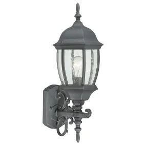 Covington Single-Light Wall Lantern