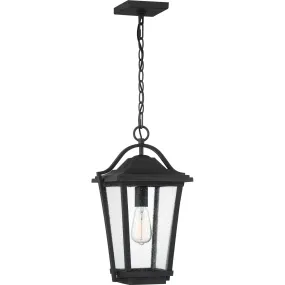 Darius 1-Light Outdoor Lantern in Earth Black