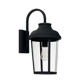 Dunbar 1-Light Outdoor Wall Lantern