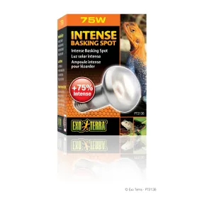 Exo Terra Intense Basking Spot Lamp 75W