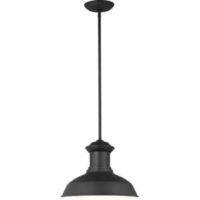 Fredricksburg 1 Light 13" Black Outdoor Pendant