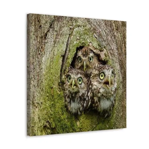 GADGETS WRAP Canvas Gallery Wrap Framed for Home Office Studio Living Room Decoration (10x10inch) - Three Owl Tree