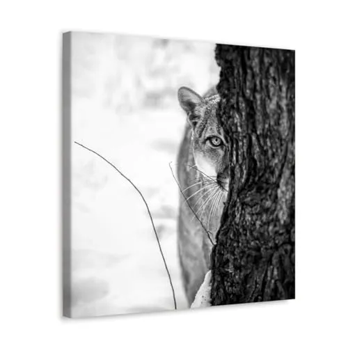 GADGETS WRAP Canvas Gallery Wrap Framed for Home Office Studio Living Room Decoration (10x10inch) - Tiger Covered