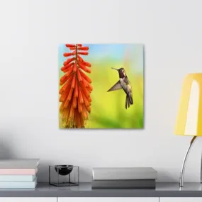 GADGETS WRAP Canvas Gallery Wrap Framed for Home Office Studio Living Room Decoration (10x10inch) - Tiny Hummingbird