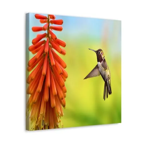 GADGETS WRAP Canvas Gallery Wrap Framed for Home Office Studio Living Room Decoration (10x10inch) - Tiny Hummingbird