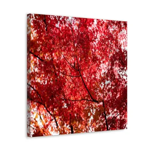 GADGETS WRAP Canvas Gallery Wrap Framed for Home Office Studio Living Room Decoration (10x10inch) - Tree With Red Leaves Japan Tokyo