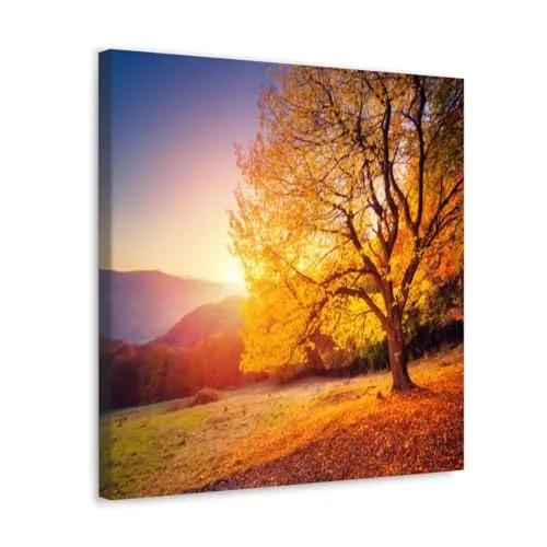 GADGETS WRAP Canvas Gallery Wrap Framed for Home Office Studio Living Room Decoration (10x10inch) - Trees Mountain Sunset