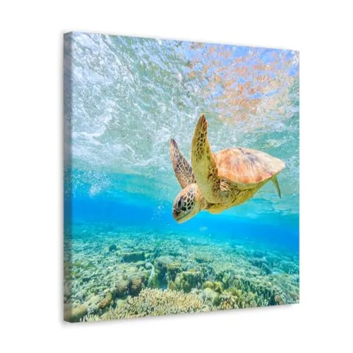 GADGETS WRAP Canvas Gallery Wrap Framed for Home Office Studio Living Room Decoration (10x10inch) - Turtle In Sea