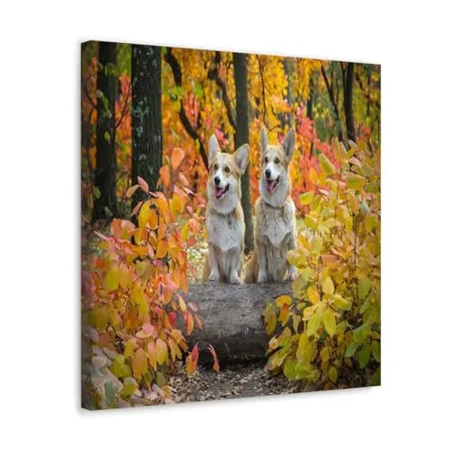 GADGETS WRAP Canvas Gallery Wrap Framed for Home Office Studio Living Room Decoration (10x10inch) - Two Dogs On Autumn Trees