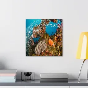 GADGETS WRAP Canvas Gallery Wrap Framed for Home Office Studio Living Room Decoration (10x10inch) - Underwater Fish & Corals