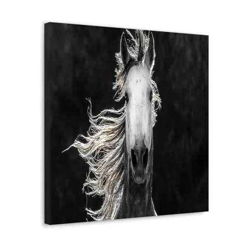 GADGETS WRAP Canvas Gallery Wrap Framed for Home Office Studio Living Room Decoration (10x10inch) - White Horse Face