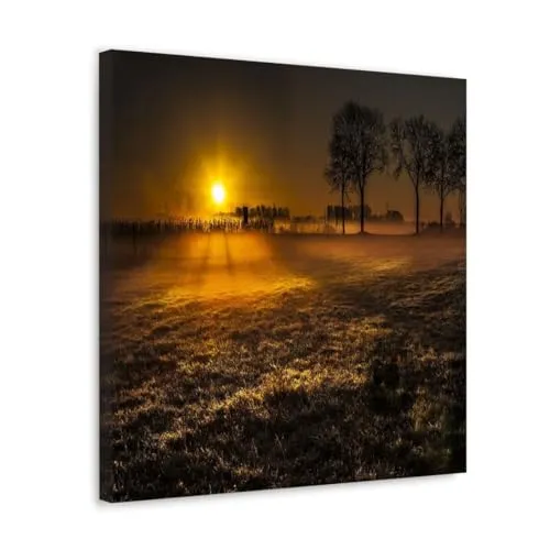 GADGETS WRAP Canvas Gallery Wrap Framed for Home Office Studio Living Room Decoration (10x10inch) - Winter Grass Field Sunrise