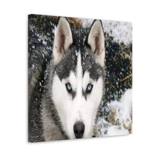 GADGETS WRAP Canvas Gallery Wrap Framed for Home Office Studio Living Room Decoration (10x10inch) - Wolf Eyes