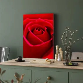 GADGETS WRAP Canvas Gallery Wrap Framed for Home Office Studio Living Room Decoration (11x17inch) - Beautiful Red Rose Flower Closeup