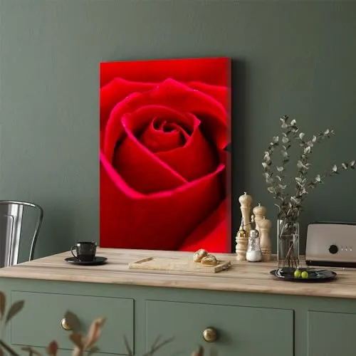 GADGETS WRAP Canvas Gallery Wrap Framed for Home Office Studio Living Room Decoration (11x17inch) - Beautiful Red Rose Flower Closeup