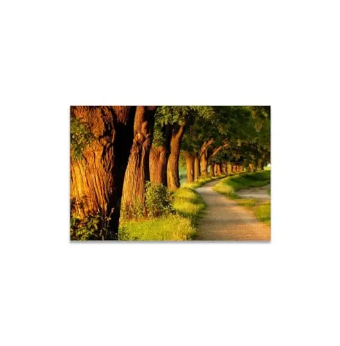 GADGETS WRAP Canvas Gallery Wrap Framed for Home Office Studio Living Room Decoration (11x9inch) - Beautiful Road