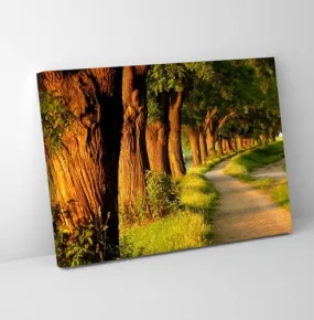 GADGETS WRAP Canvas Gallery Wrap Framed for Home Office Studio Living Room Decoration (11x9inch) - Beautiful Road