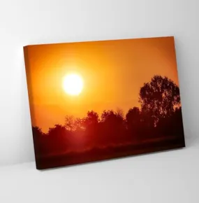 GADGETS WRAP Canvas Gallery Wrap Framed for Home Office Studio Living Room Decoration (11x9inch) - Forest & Sunset View Photograph