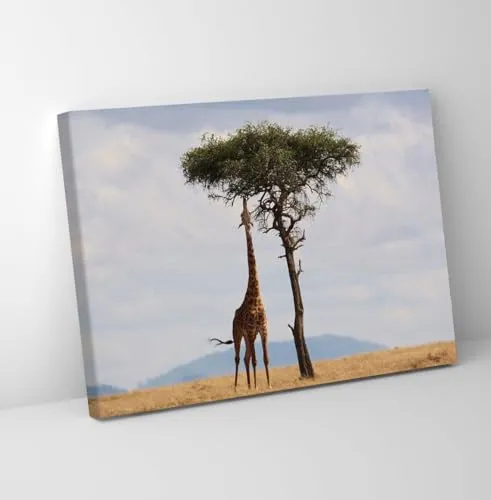 GADGETS WRAP Canvas Gallery Wrap Framed for Home Office Studio Living Room Decoration (11x9inch) - Giraffe & Tree On Mountain