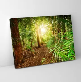 GADGETS WRAP Canvas Gallery Wrap Framed for Home Office Studio Living Room Decoration (11x9inch) - Sunrise Through Forest