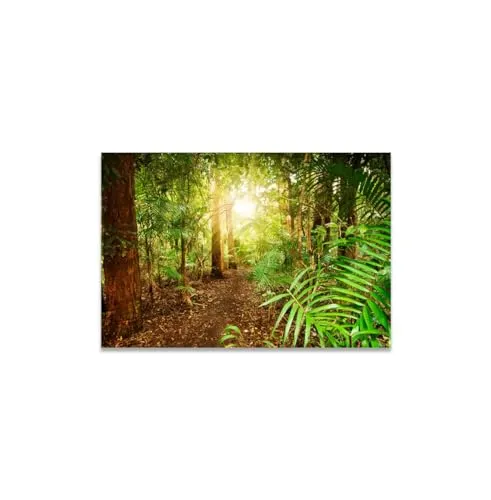 GADGETS WRAP Canvas Gallery Wrap Framed for Home Office Studio Living Room Decoration (11x9inch) - Sunrise Through Forest