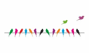 GADGETS WRAP 'Colourful Birds with Long Tail on Wire' Wall Sticker