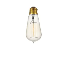 Incandescent Edison Bulb (120V)