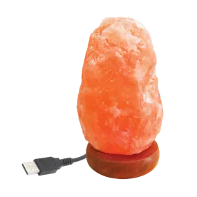 Lumiere de Sel USB Himalayan Salt Computer Lamp & Night Light (Micro)