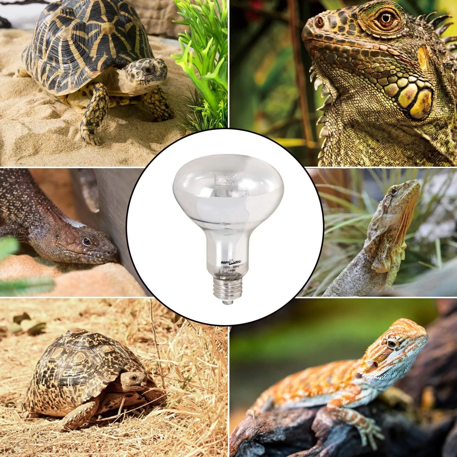 REPTI ZOO Reptile 2PCS Heat Lamp Full Spectrum UVA UVB Reptile Sun Lamp for Reptile pets