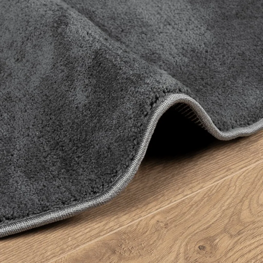 Rug OVIEDO Short Pile Anthracite Ø 240 cm