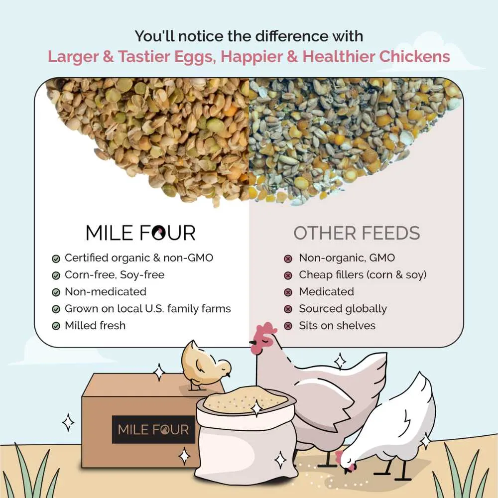 Starter Organic Chicken Feed