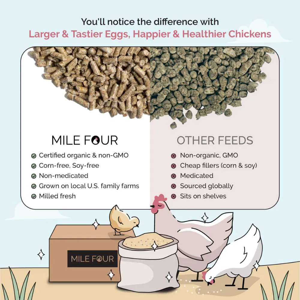 Starter Organic Chicken Feed