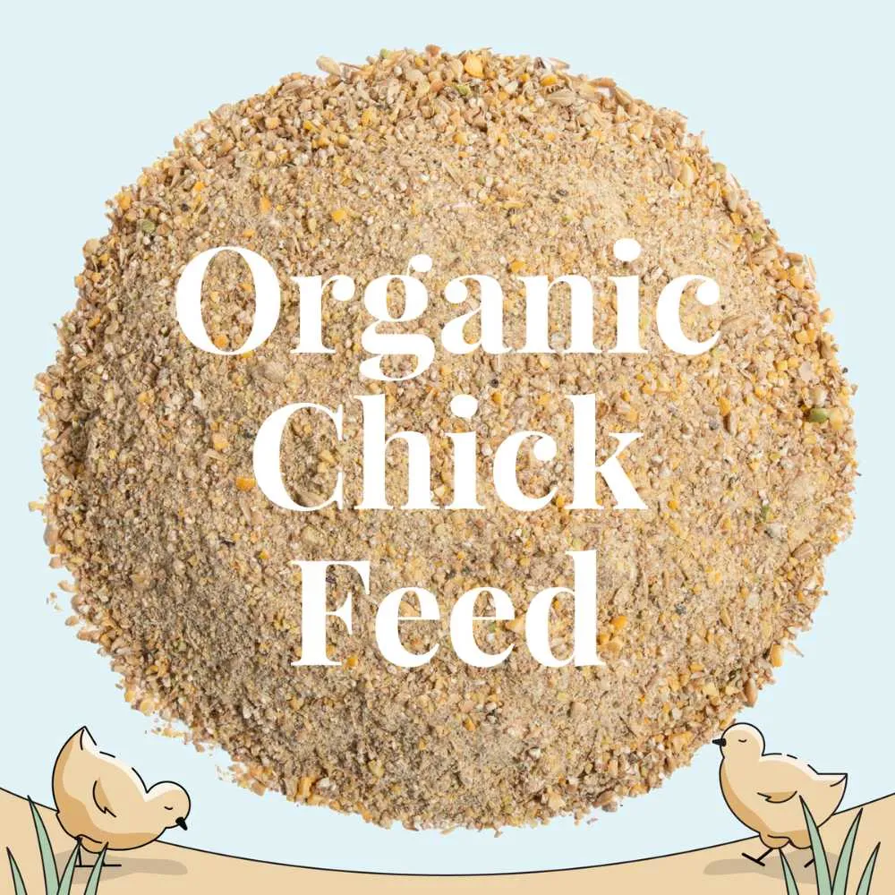 Starter Organic Chicken Feed