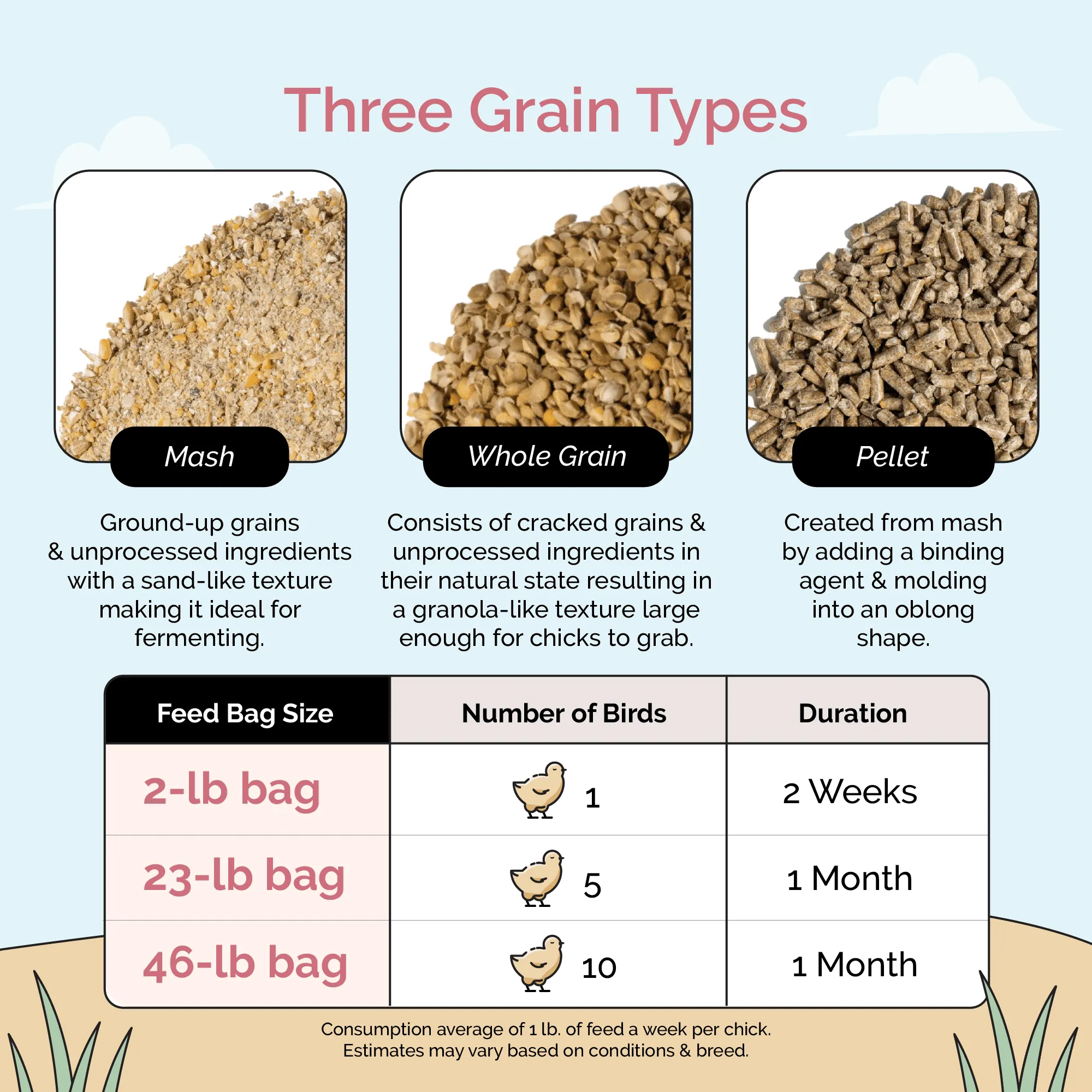 Starter Organic Chicken Feed