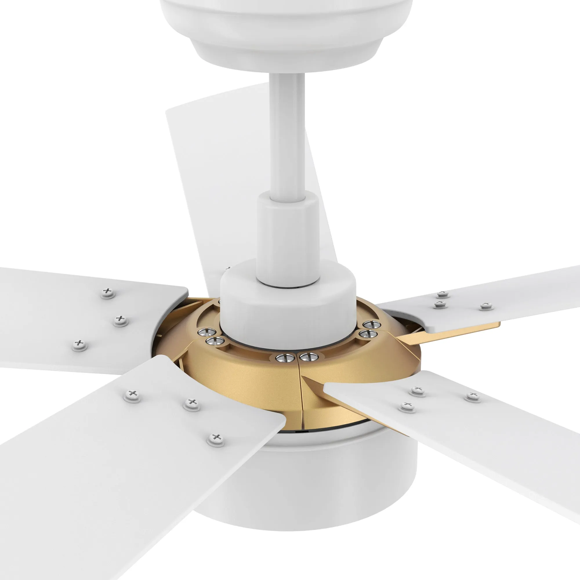 STOCKTON 52 inch 5-Blade Smart Ceiling Fan with LED Light Kit & Remote Control- White/White (Gold Details)