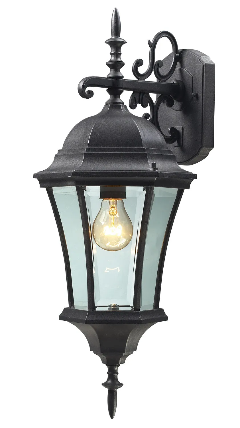 Wakefield 1-Light Outdoor Wall-Light in Black with Clear Beveled Glass